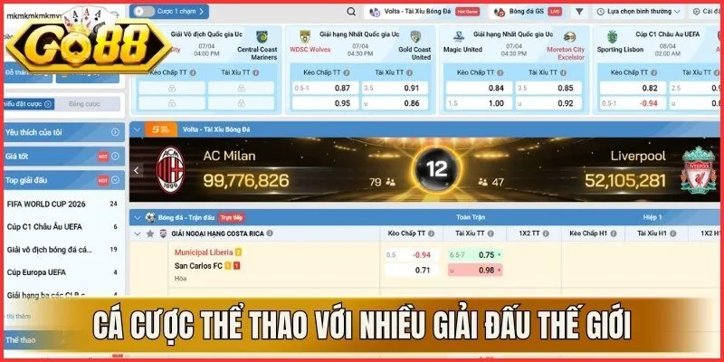 Cá cược thể thao với nhiều giải đấu toàn thế giới